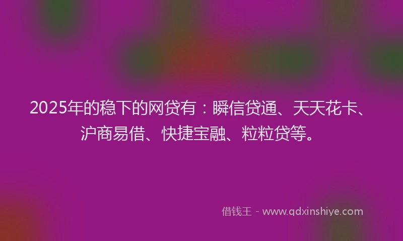 2025年的稳下的网贷有：瞬信贷通、天天花卡、沪商易借、快捷宝融、粒粒贷等。