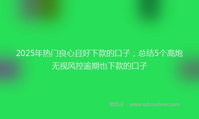 2025年热门良心且好下款的口子，总结5个高炮无视风控逾期也下款的口子
