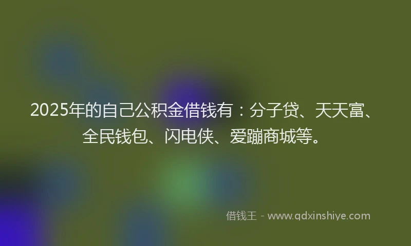 2025年的自己公积金借钱有：分子贷、天天富、全民钱包、闪电侠、爱蹦商城等。