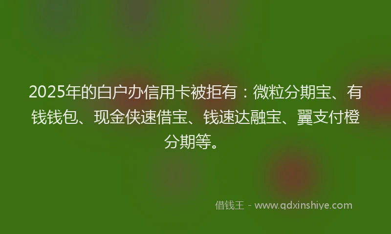 2025年的白户办信用卡被拒有：微粒分期宝、有钱钱包、现金侠速借宝、钱速达融宝、翼支付橙分期等。