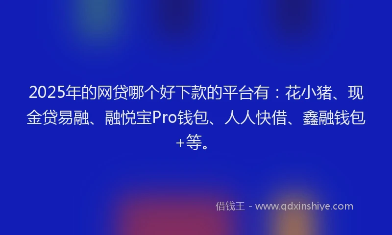 2025年的网贷哪个好下款的平台有：花小猪、现金贷易融、融悦宝Pro钱包、人人快借、鑫融钱包+等。