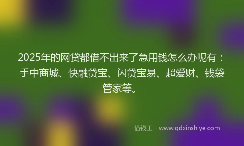 2025年的网贷都借不出来了急用钱怎么办呢有：手中商城、快融贷宝、闪贷宝易、超爱财、钱袋管家等。