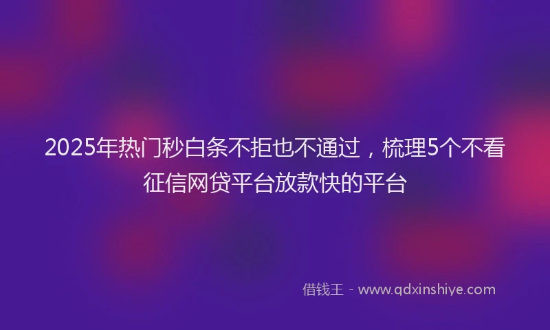 2025年热门秒白条不拒也不通过，梳理5个不看征信网贷平台放款快的平台