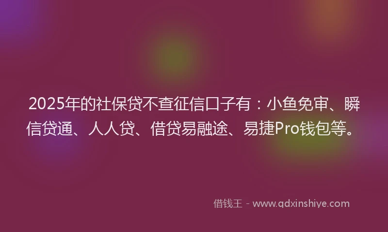 2025年的社保贷不查征信口子有：小鱼免审、瞬信贷通、人人贷、借贷易融途、易捷Pro钱包等。
