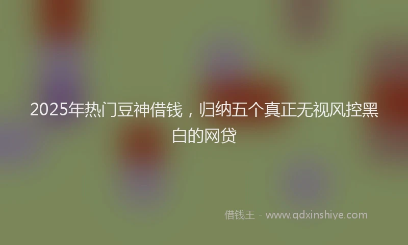 2025年热门豆神借钱，归纳五个真正无视风控黑白的网贷