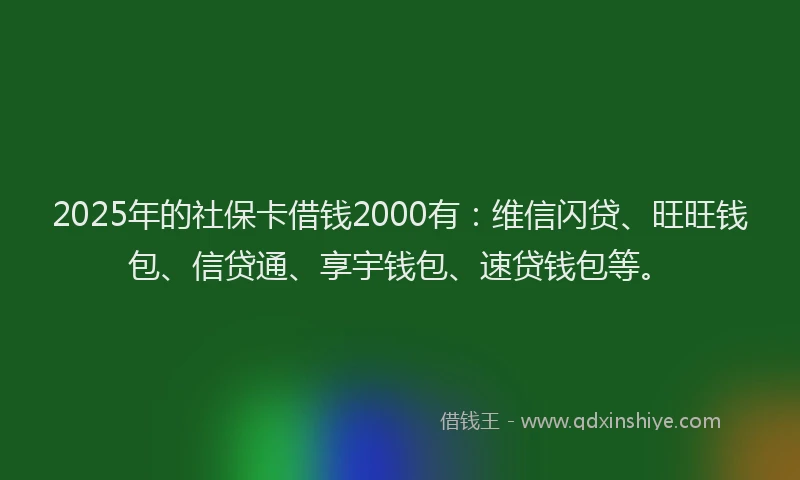 2025年的社保卡借钱2000有：维信闪贷、旺旺钱包、信贷通、享宇钱包、速贷钱包等。