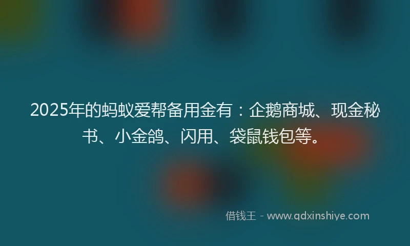 2025年的蚂蚁爱帮备用金有：企鹅商城、现金秘书、小金鸽、闪用、袋鼠钱包等。