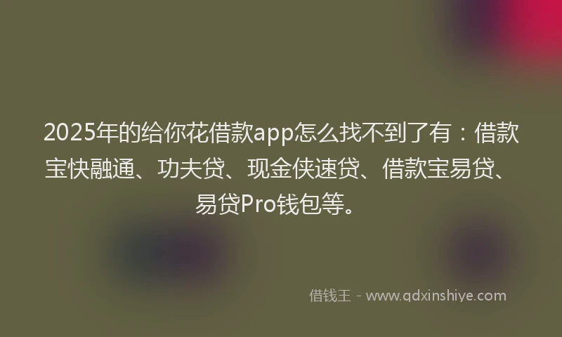 2025年的给你花借款app怎么找不到了有：借款宝快融通、功夫贷、现金侠速贷、借款宝易贷、易贷Pro钱包等。