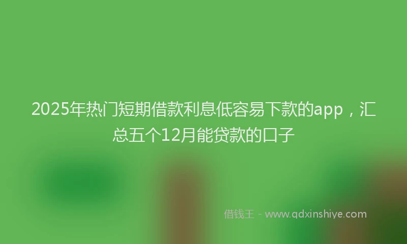 2025年热门短期借款利息低容易下款的app，汇总五个12月能贷款的口子