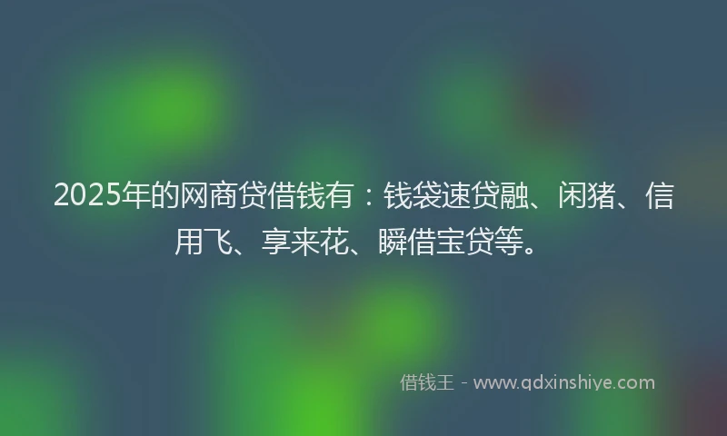 2025年的网商贷借钱有：钱袋速贷融、闲猪、信用飞、享来花、瞬借宝贷等。