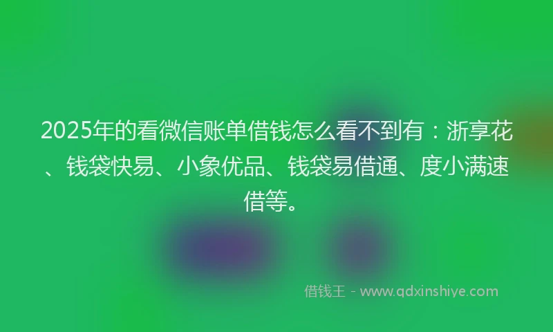 2025年的看微信账单借钱怎么看不到有：浙享花、钱袋快易、小象优品、钱袋易借通、度小满速借等。