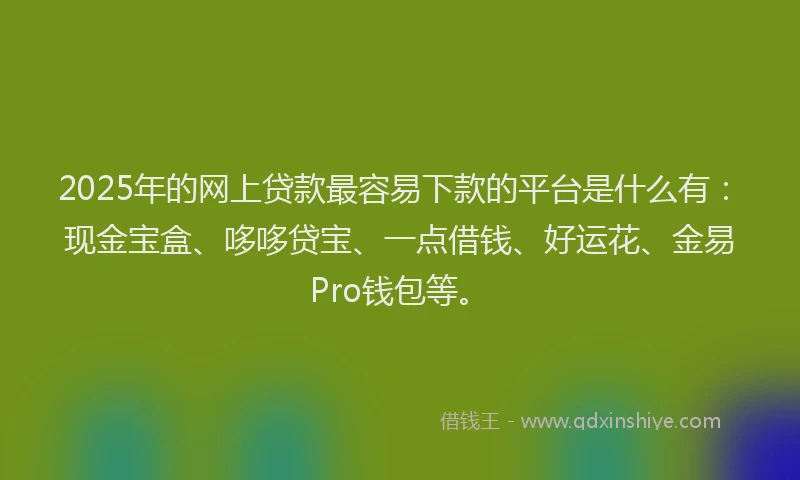 2025年的网上贷款最容易下款的平台是什么有：现金宝盒、哆哆贷宝、一点借钱、好运花、金易Pro钱包等。