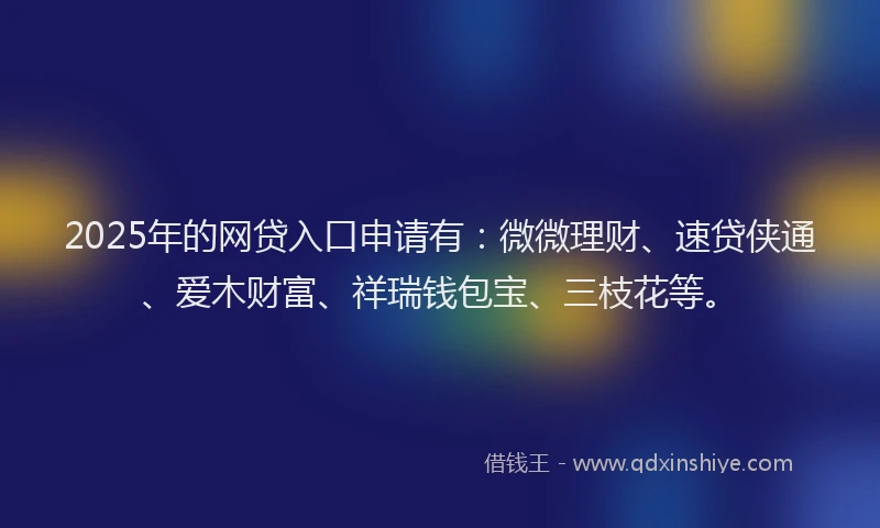 2025年的网贷入口申请有：微微理财、速贷侠通、爱木财富、祥瑞钱包宝、三枝花等。