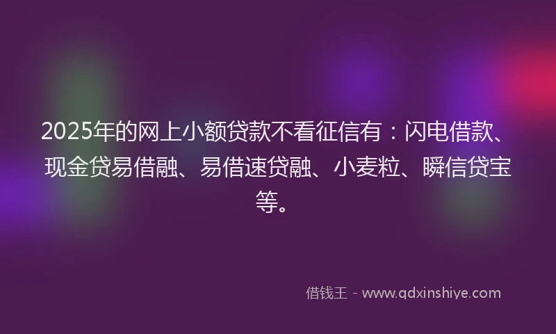 2025年的网上小额贷款不看征信有：闪电借款、现金贷易借融、易借速贷融、小麦粒、瞬信贷宝等。