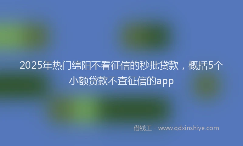 2025年热门绵阳不看征信的秒批贷款，概括5个小额贷款不查征信的app