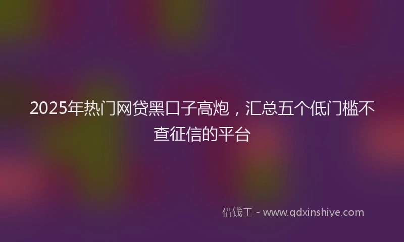 2025年热门网贷黑口子高炮，汇总五个低门槛不查征信的平台
