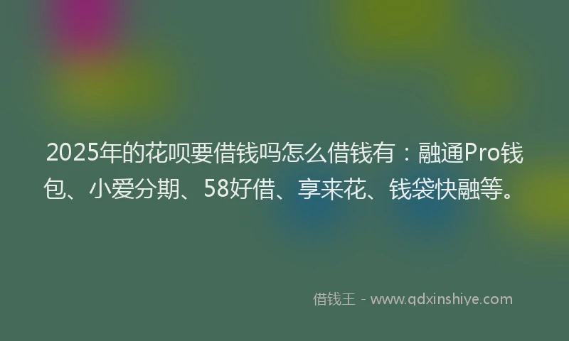 2025年的花呗要借钱吗怎么借钱有：融通Pro钱包、小爱分期、58好借、享来花、钱袋快融等。