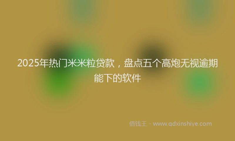 2025年热门米米粒贷款，盘点五个高炮无视逾期能下的软件