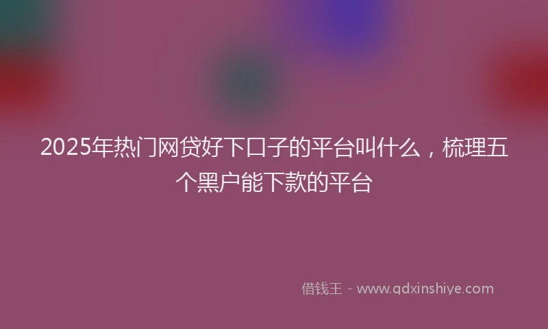 2025年热门网贷好下口子的平台叫什么，梳理五个黑户能下款的平台