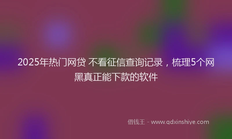 2025年热门网贷 不看征信查询记录，梳理5个网黑真正能下款的软件