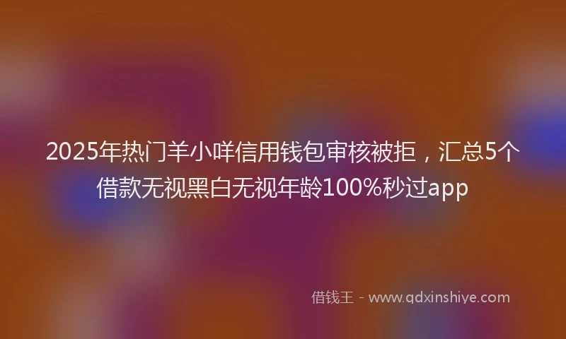 2025年热门羊小咩信用钱包审核被拒，汇总5个借款无视黑白无视年龄100%秒过app