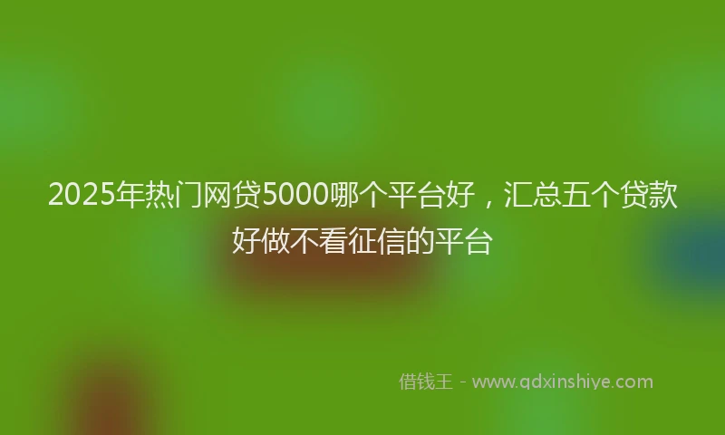2025年热门网贷5000哪个平台好，汇总五个贷款好做不看征信的平台