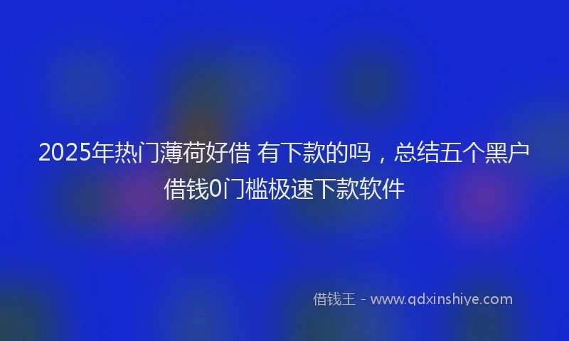 2025年热门薄荷好借 有下款的吗，总结五个黑户借钱0门槛极速下款软件