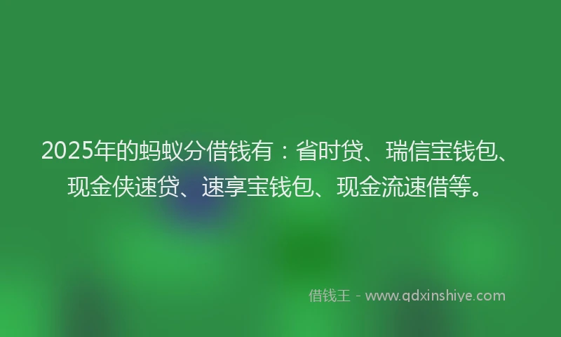 2025年的蚂蚁分借钱有：省时贷、瑞信宝钱包、现金侠速贷、速享宝钱包、现金流速借等。