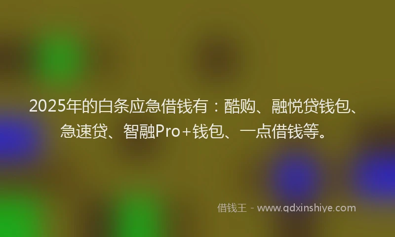 2025年的白条应急借钱有：酷购、融悦贷钱包、急速贷、智融Pro+钱包、一点借钱等。