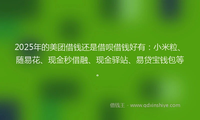 2025年的美团借钱还是借呗借钱好有：小米粒、随易花、现金秒借融、现金驿站、易贷宝钱包等。