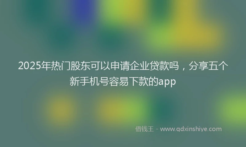 2025年热门股东可以申请企业贷款吗，分享五个新手机号容易下款的app