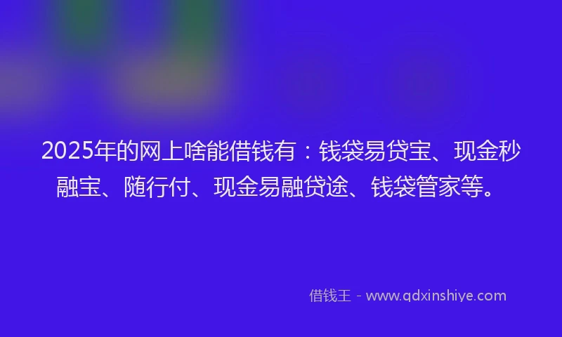 2025年的网上啥能借钱有：钱袋易贷宝、现金秒融宝、随行付、现金易融贷途、钱袋管家等。
