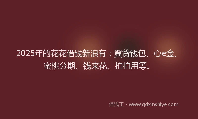 2025年的花花借钱新浪有：翼贷钱包、心e金、蜜桃分期、钱来花、拍拍用等。