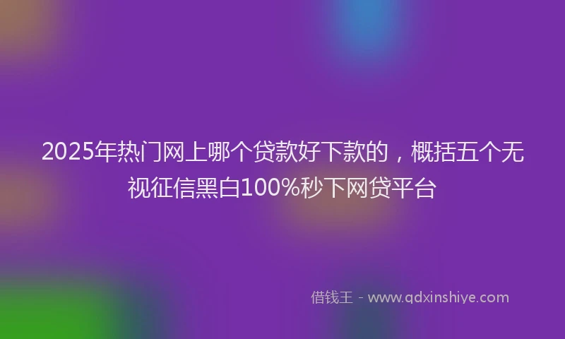 2025年热门网上哪个贷款好下款的，概括五个无视征信黑白100%秒下网贷平台