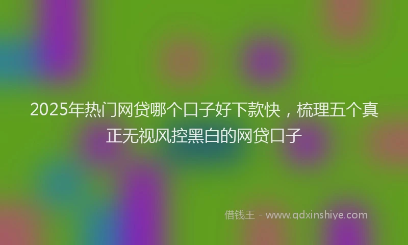 2025年热门网贷哪个口子好下款快，梳理五个真正无视风控黑白的网贷口子