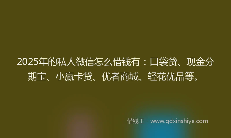 2025年的私人微信怎么借钱有：口袋贷、现金分期宝、小赢卡贷、优者商城、轻花优品等。