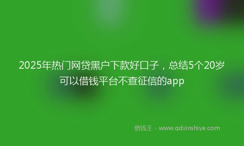 2025年热门网贷黑户下款好口子，总结5个20岁可以借钱平台不查征信的app