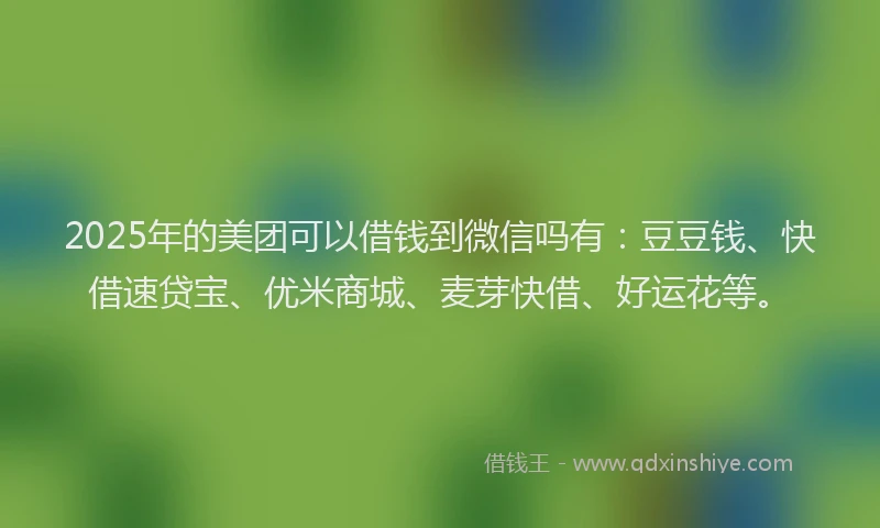 2025年的美团可以借钱到微信吗有：豆豆钱、快借速贷宝、优米商城、麦芽快借、好运花等。
