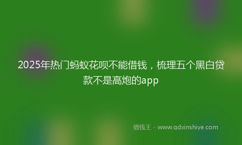 2025年热门蚂蚁花呗不能借钱，梳理五个黑白贷款不是高炮的app