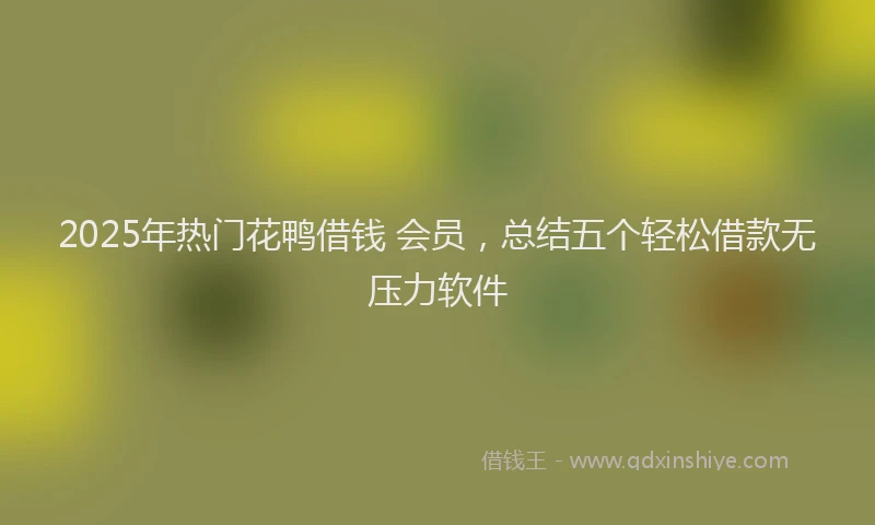 2025年热门花鸭借钱 会员，总结五个轻松借款无压力软件