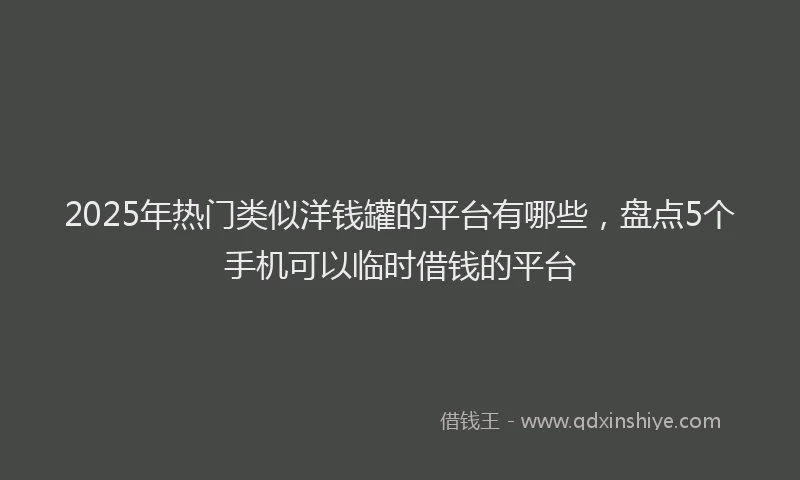 2025年热门类似洋钱罐的平台有哪些，盘点5个手机可以临时借钱的平台