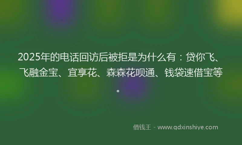 2025年的电话回访后被拒是为什么有：贷你飞、飞融金宝、宜享花、森森花呗通、钱袋速借宝等。