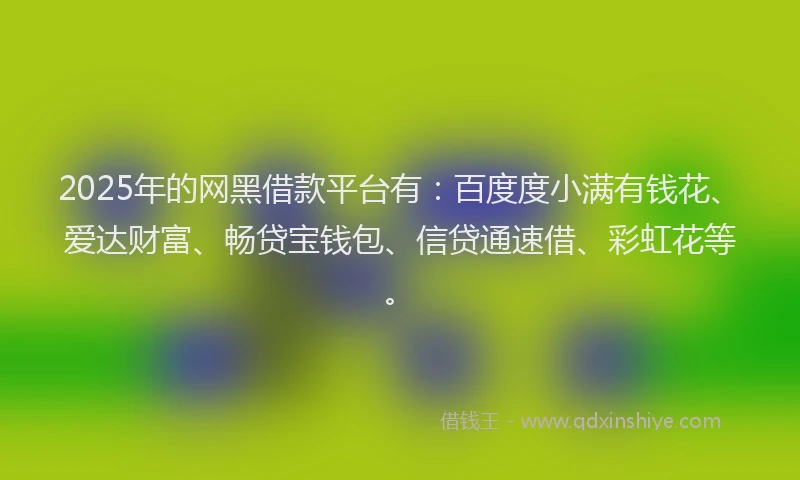 2025年的网黑借款平台有：百度度小满有钱花、爱达财富、畅贷宝钱包、信贷通速借、彩虹花等。