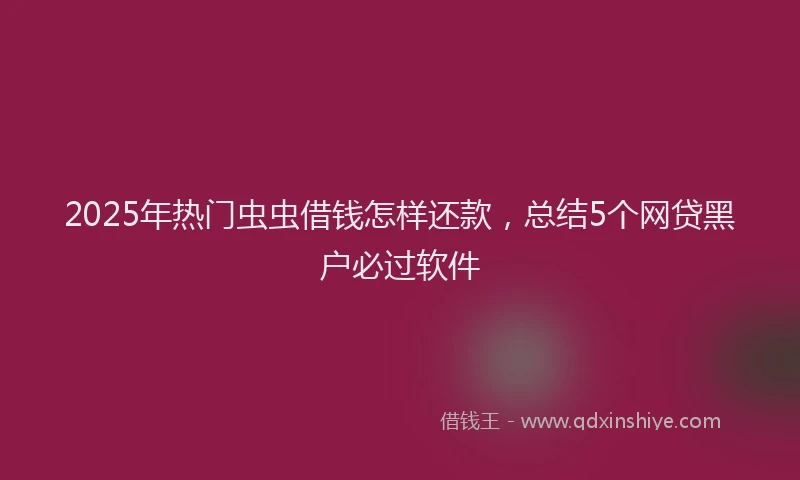 2025年热门虫虫借钱怎样还款，总结5个网贷黑户必过软件
