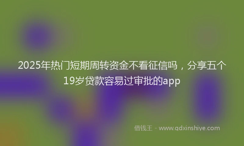 2025年热门短期周转资金不看征信吗，分享五个19岁贷款容易过审批的app