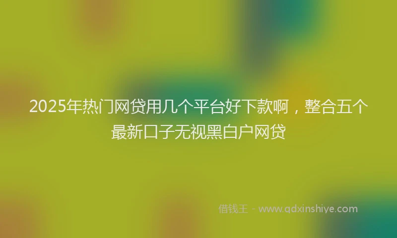 2025年热门网贷用几个平台好下款啊，整合五个最新口子无视黑白户网贷