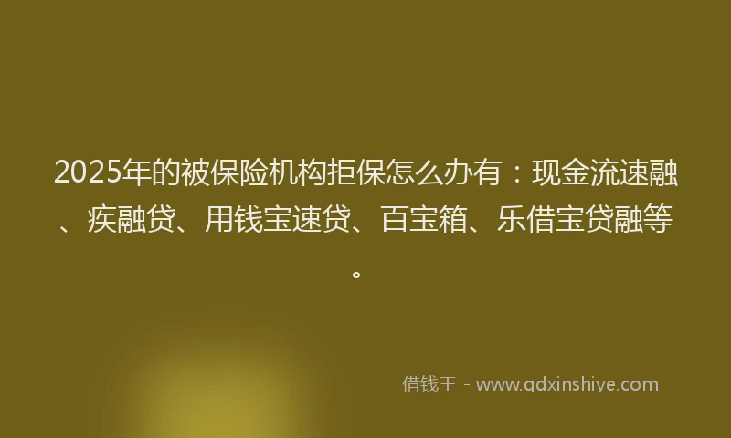 2025年的被保险机构拒保怎么办有：现金流速融、疾融贷、用钱宝速贷、百宝箱、乐借宝贷融等。