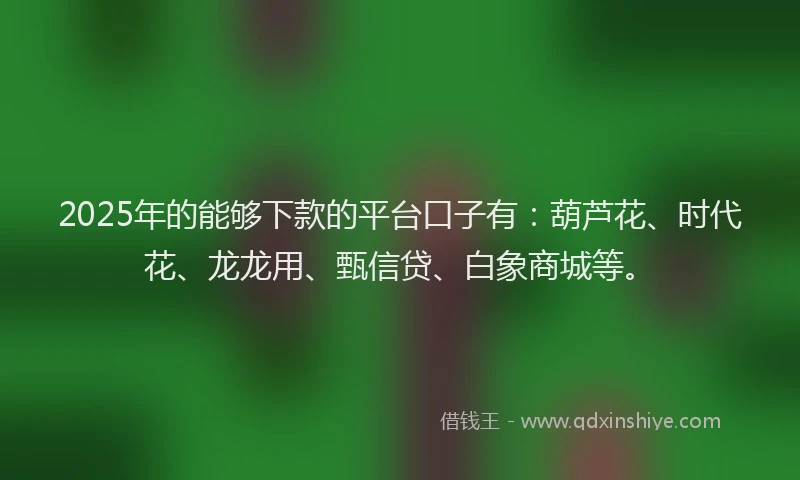 2025年的能够下款的平台口子有：葫芦花、时代花、龙龙用、甄信贷、白象商城等。