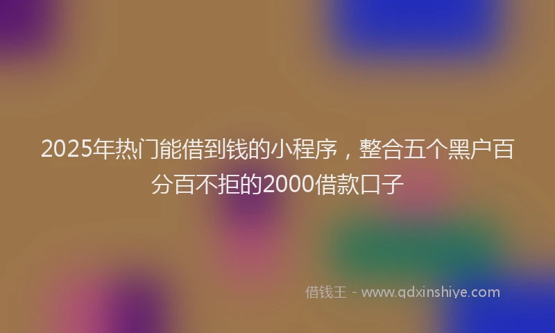 2025年热门能借到钱的小程序，整合五个黑户百分百不拒的2000借款口子
