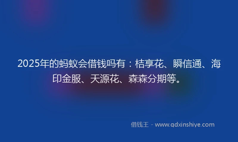 2025年的蚂蚁会借钱吗有：桔享花、瞬信通、海印金服、天源花、森森分期等。